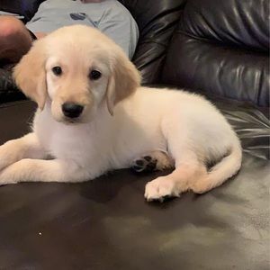 Meet your Posher, Cameryn